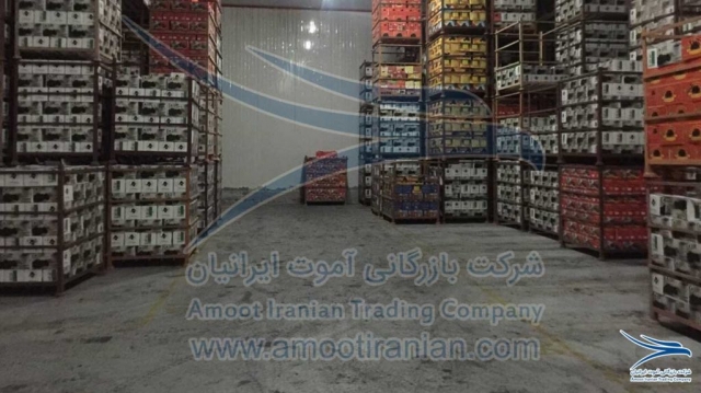 International Transport Company, International Transport Company in Iran, International Transport Company in Mashhad, International Transportation of Date Palm