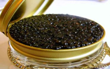 caviar supplier, caviar suppliers, iranian caviar supplier, caviar suppliers, iran caviar supplier, iran caviar suppliers, international caviar supplier, iran caviar, iranian caviar, caviar suppliers in iran, caviar for sale, caviar wholesalers