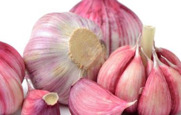 garlic supplier, garlic suppliers, garlic supplier in iran, iranian garlic supplier, iranian garlic suppliers, garlic wholesalers, garlic sales, wholesale garlic in iran, garlic wholesaler price