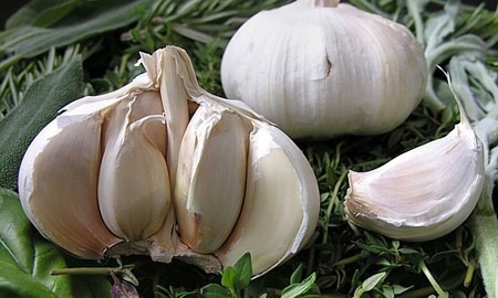 garlic supplier, garlic suppliers, garlic supplier in iran, iranian garlic supplier, iranian garlic suppliers, garlic wholesalers, garlic sales, wholesale garlic in iran, garlic wholesaler price