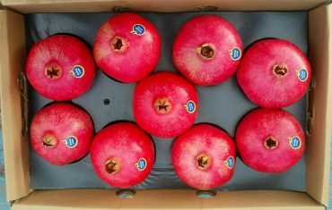 Pomegranate Supplier, Pomegranate Wholesalers, Pomegranate Wholesale, Iran Pomegranate Wholesaler, Iran Pomegranate Supplier, Iran Pomegranate Suppliers, Iranian Pomegranate Price