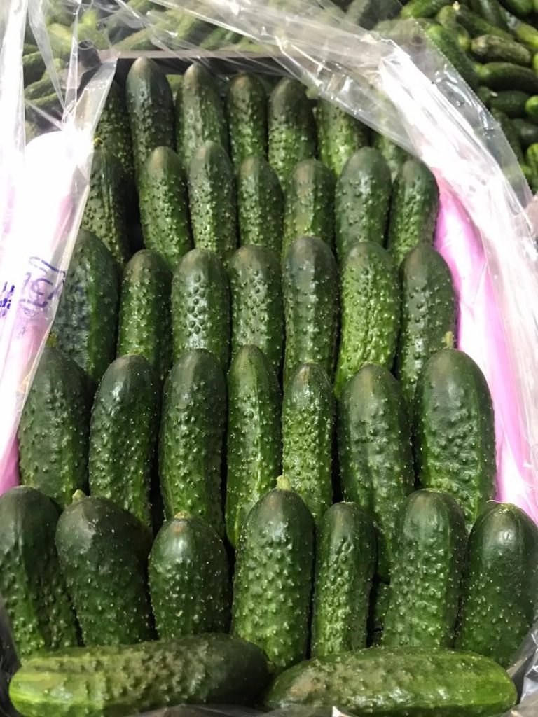 ukrainian doxy with cucumber